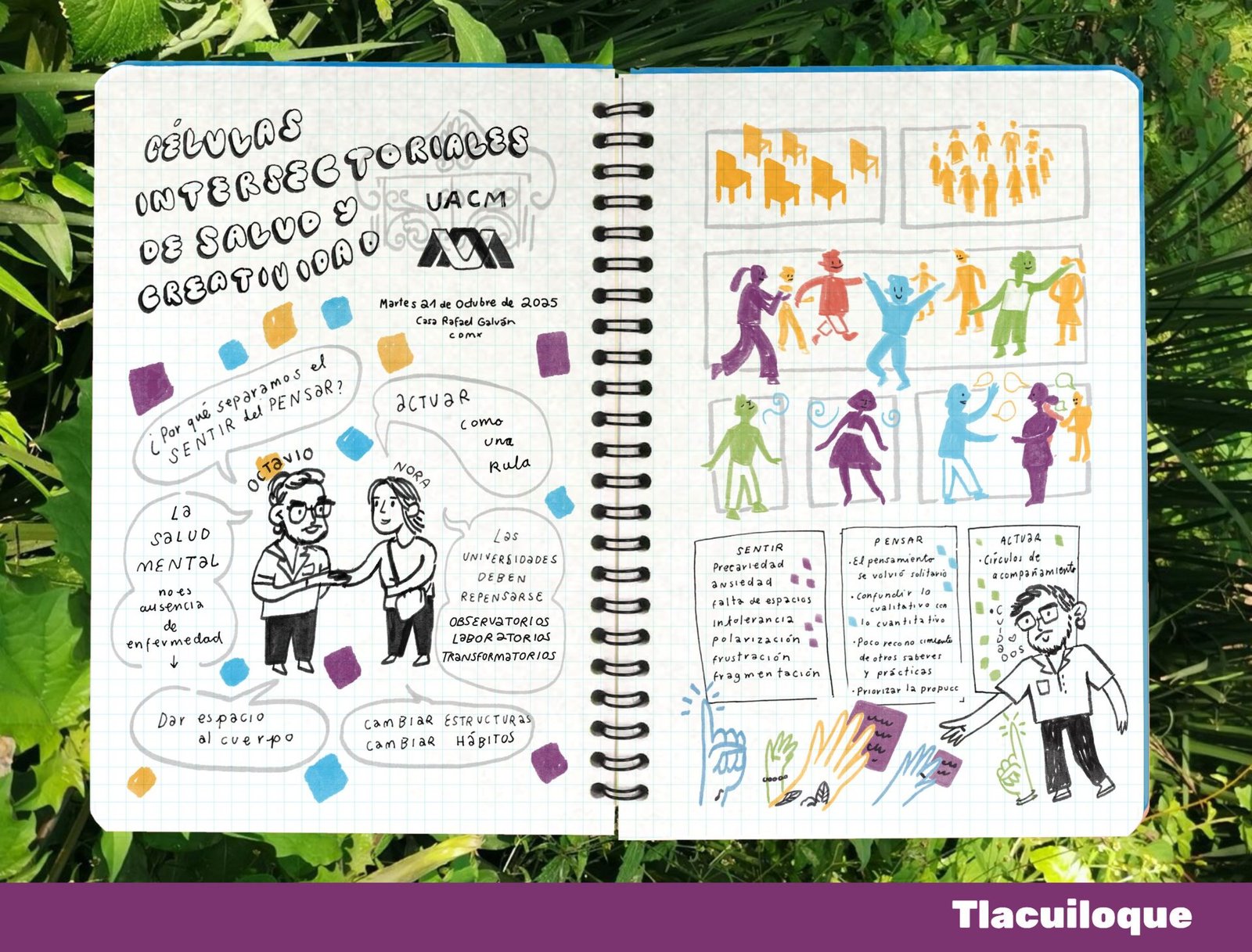 Células intersectoriales de salud y creatividad