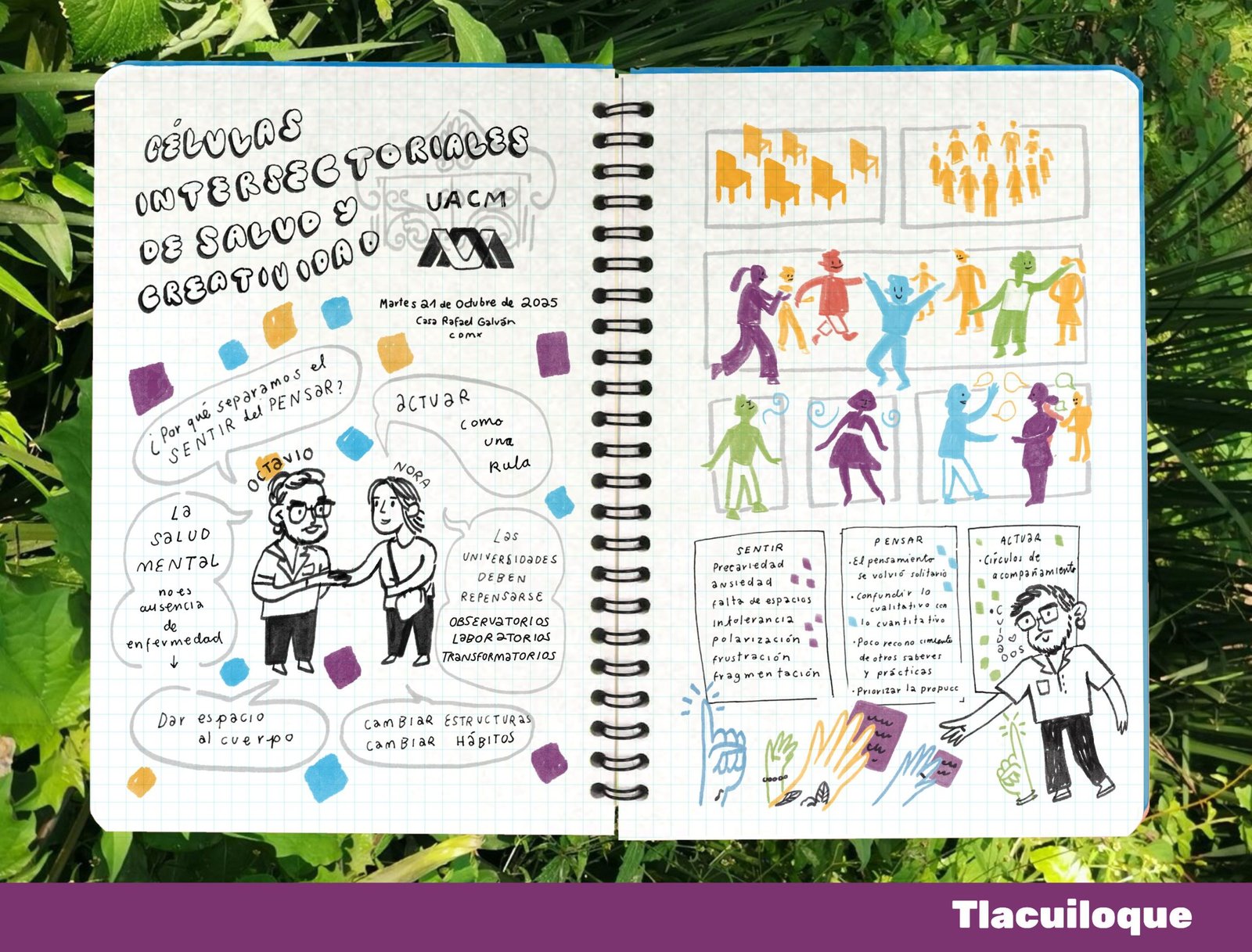 Células intersectoriales de salud y creatividad